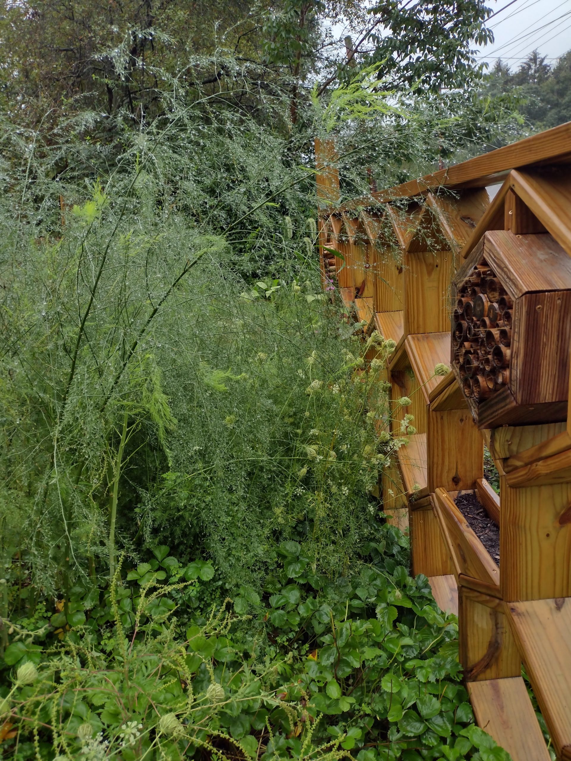 Support a Pollinator Program Plant it Further