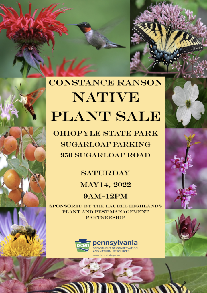 Constance Ranson Native Plant Sale - Plant it Further